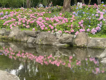 万博記念公園に投稿された画像（2026/6/14）