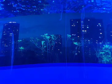 サンシャイン水族館に投稿された画像（2026/6/14）