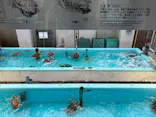 名古屋港水族館に投稿された画像（2026/6/14）