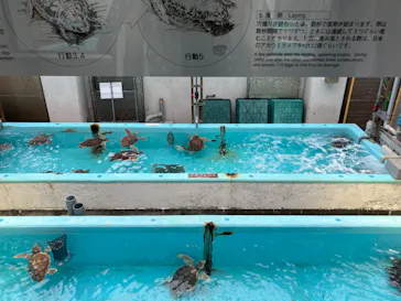 名古屋港水族館に投稿された画像（2026/6/14）
