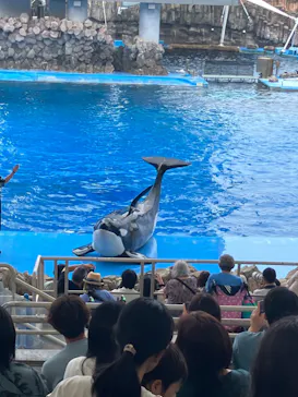 名古屋港水族館に投稿された画像（2026/6/14）