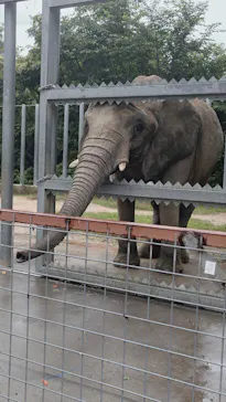しろとり動物園に投稿された画像（2026/6/14）