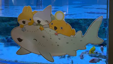 アクアワールド茨城県大洗水族館に投稿された画像（2026/6/14）