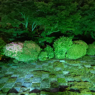 VIE presents ZEN NIGHTに投稿された画像（2026/6/14）