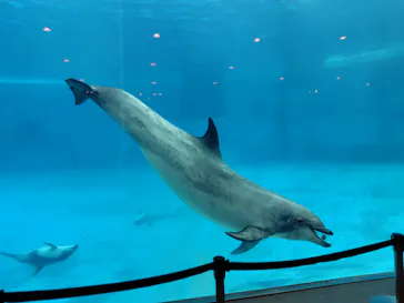 名古屋港水族館に投稿された画像（2026/6/14）