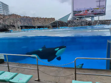 名古屋港水族館に投稿された画像（2026/6/14）
