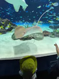 サンシャイン水族館に投稿された画像（2026/6/14）