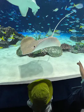 サンシャイン水族館に投稿された画像（2026/6/14）