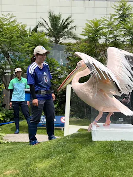 サンシャイン水族館に投稿された画像（2026/6/14）
