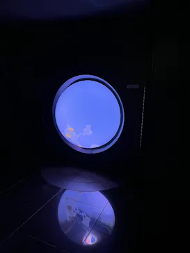 サンシャイン水族館に投稿された画像（2026/6/14）