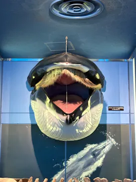 名古屋港水族館に投稿された画像（2026/6/14）
