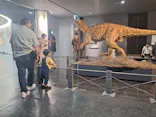 福井県立恐竜博物館に投稿された画像（2026/6/14）
