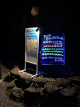 智光山公園に投稿された画像（2026/6/14）
