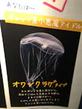 京都水族館に投稿された画像（2026/6/14）
