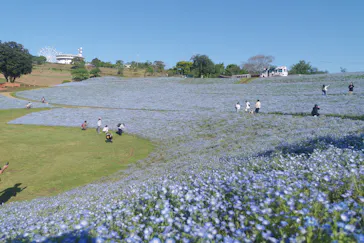 マザー牧場に投稿された画像（2026/6/14）