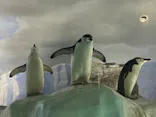 名古屋港水族館に投稿された画像（2026/6/14）