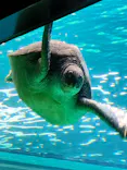 箱根園水族館に投稿された画像（2026/6/14）