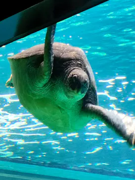 箱根園水族館に投稿された画像（2026/6/14）