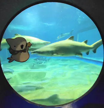 アクアワールド茨城県大洗水族館に投稿された画像（2026/6/14）