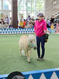 ノーザンホースパークに投稿された画像（2026/6/15）