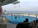 マリンワールド海の中道に投稿された画像（2026/6/15）
