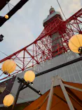 東京タワーに投稿された画像（2026/6/15）