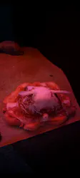 環境水族館アクアマリンふくしまに投稿された画像（2026/6/15）