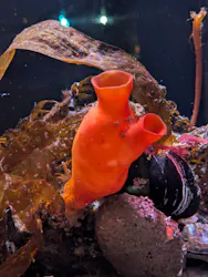 環境水族館アクアマリンふくしまに投稿された画像（2026/6/15）