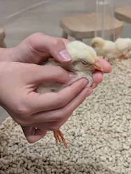 Moff animal cafe イオンモール新利府店に投稿された画像（2026/6/15）