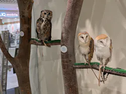 Moff animal cafe イオンモール新利府店に投稿された画像（2026/6/15）