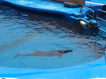 仙台うみの杜水族館に投稿された画像（2026/6/15）