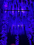 動き出す妖怪展 TOKYO 〜Imagination of Japan〜に投稿された画像（2026/6/15）
