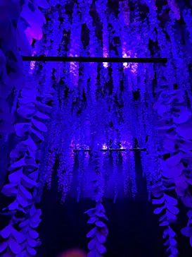 動き出す妖怪展 TOKYO 〜Imagination of Japan〜に投稿された画像（2026/6/15）
