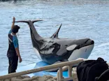 名古屋港水族館に投稿された画像（2026/6/15）