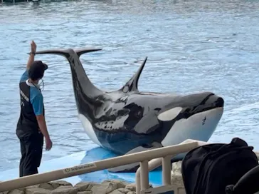 名古屋港水族館に投稿された画像（2026/6/15）