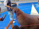 大分マリーンパレス水族館 「うみたまご」に投稿された画像（2026/6/15）