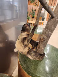 Moff animal cafe イオンモール名取店に投稿された画像（2026/6/15）