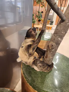 Moff animal cafe イオンモール名取店に投稿された画像（2026/6/15）