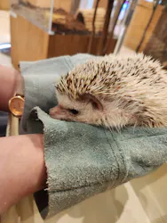 Moff animal cafe イオンモール名取店に投稿された画像（2026/6/15）