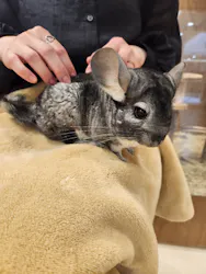 Moff animal cafe イオンモール名取店に投稿された画像（2026/6/15）