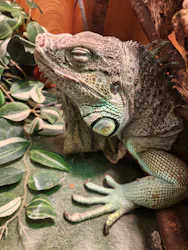 Moff animal cafe イオンモール名取店に投稿された画像（2026/6/15）