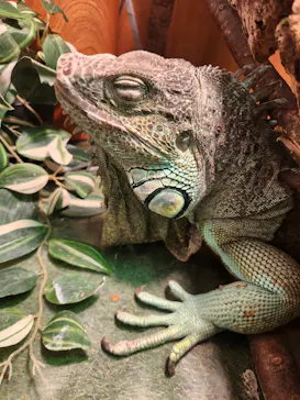 Moff animal cafe イオンモール名取店に投稿された画像（2026/6/15）