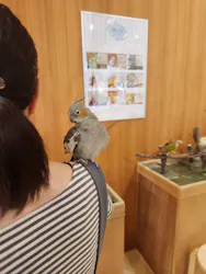 Moff animal cafe イオンモール名取店に投稿された画像（2026/6/15）