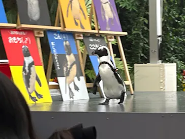 マクセル アクアパーク品川に投稿された画像（2026/6/15）