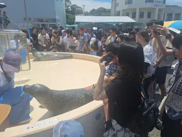 越前松島水族館に投稿された画像（2026/6/15）