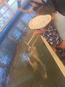 越前松島水族館に投稿された画像（2026/6/15）