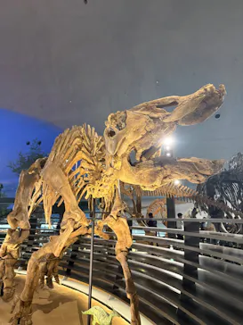 福井県立恐竜博物館に投稿された画像（2026/6/15）