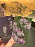 小田原城に投稿された画像（2026/6/15）