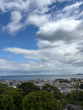 小田原城に投稿された画像（2026/6/15）
