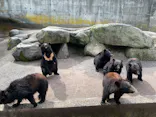 奥飛騨クマ牧場に投稿された画像（2026/6/15）